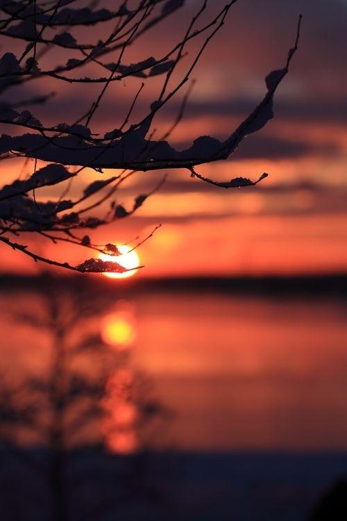 冯骥才：择一城终老，遇一人白首