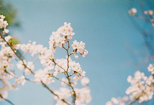 治愈自己心情的精美语录