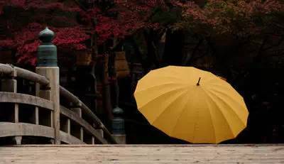 人情就如一阵雨