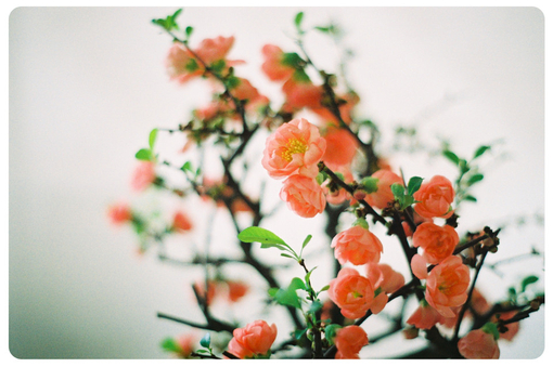 青春唯美动人的说说语录赏析