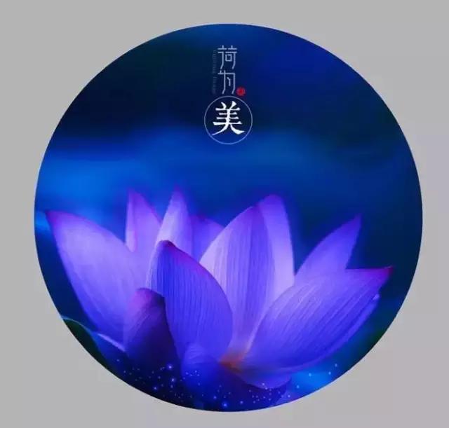 人生没有重来，生命无法倒带