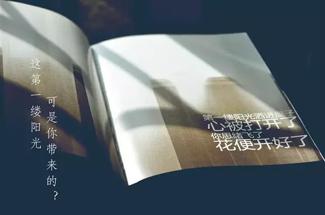 据说那些你一笑就跟着你笑的人，不是傻子就是爱你的人