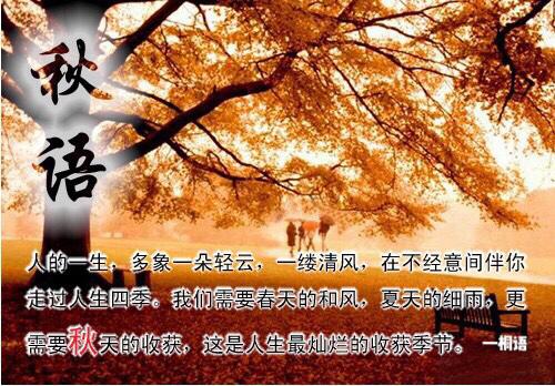 读懂了秋就读懂了人生