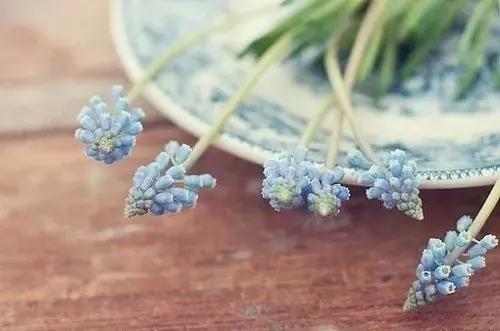 念花开，一念花落