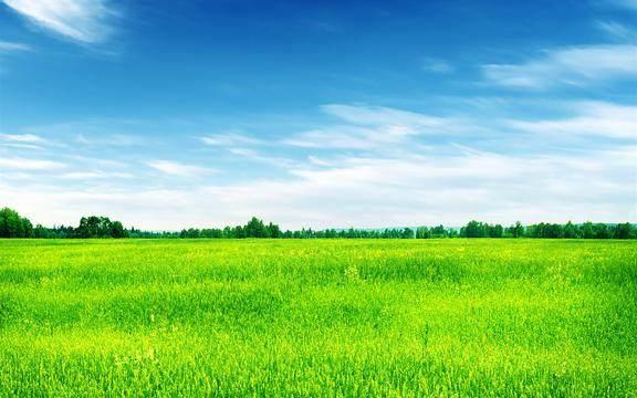 人生感悟的句子简短的，句句精辟现实