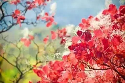 时 间(醉心文字) 时 间(醉心文字)