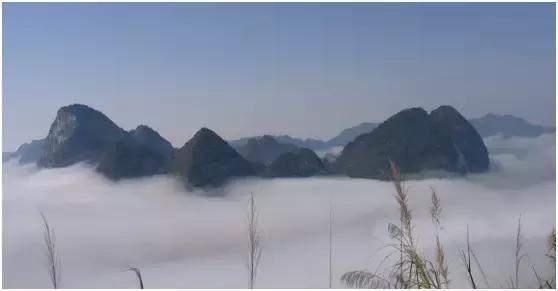 淡而不厌，真美