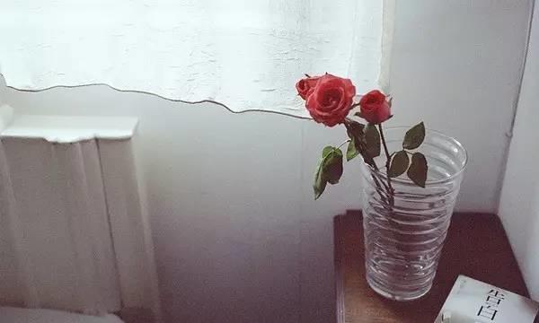 如果生命只剩下一天 如果生命只剩下一天