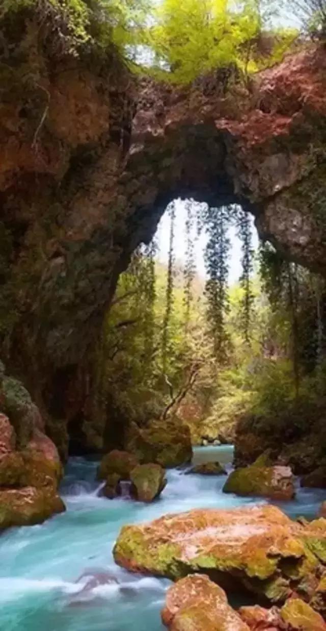 活着,一种责任(写的真好) 活着,一种责任(写的真好)