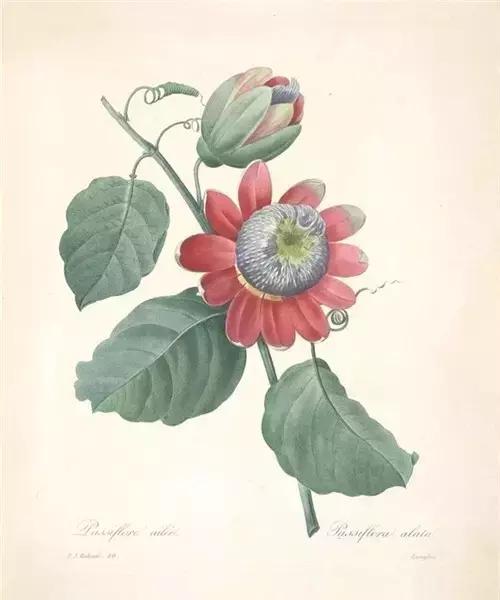 生命中所有的相逢,都是命中注定 生命中所有的相逢,都是命中注定