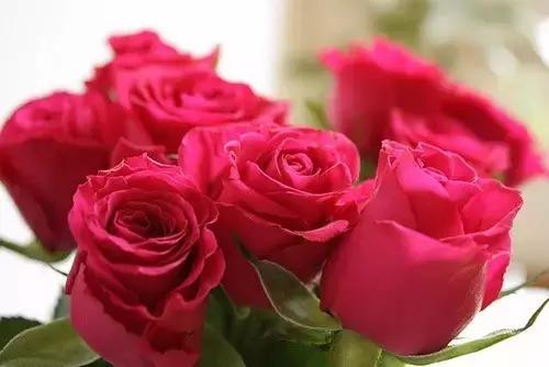 一生何求?(醒脑好文) 一生何求?(醒脑好文)