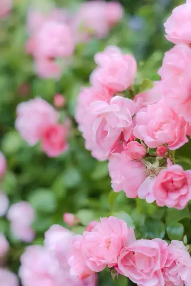 你知道别人为什么喜欢你吗？