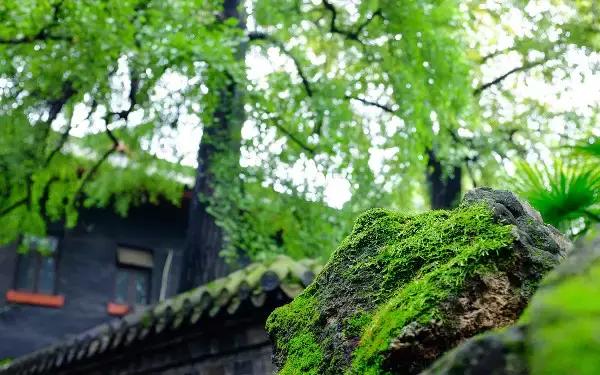 花开花落，心静如禅