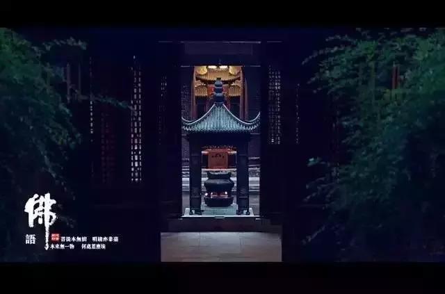 仓央嘉措的回声: 你的心,在污泥里开出一朵莲花 仓央嘉措的回声: 你的心,在污泥里开出一朵莲花