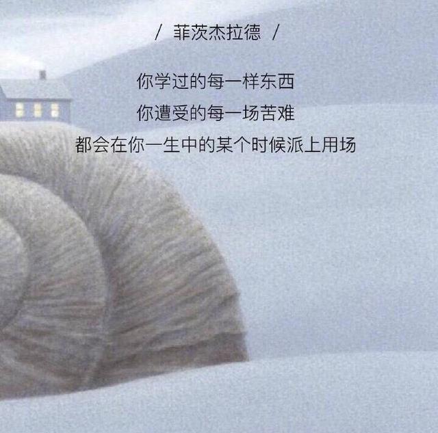 超级火爆的网络经典语录 超级火爆的网络经典语录