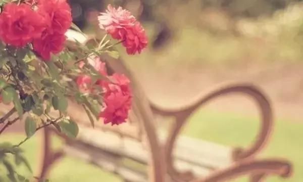 我要的幸福，这样就好