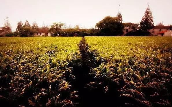 做人的涵养，非常深刻！