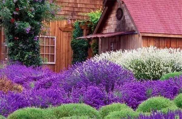 分享朋友圈好听到心醉的说说语录带图片