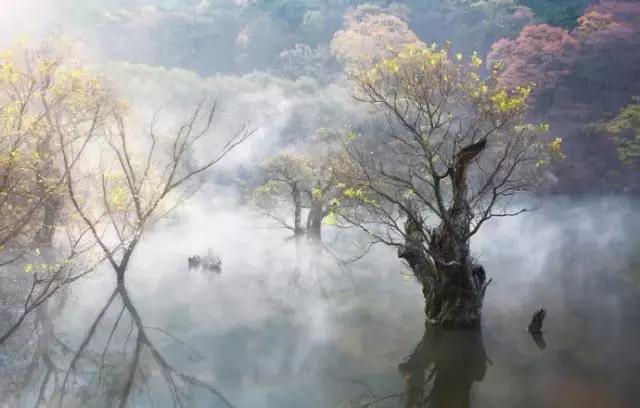 人生如局，局如人生