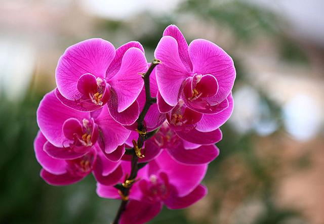 平凡的日子，也有别样的精彩