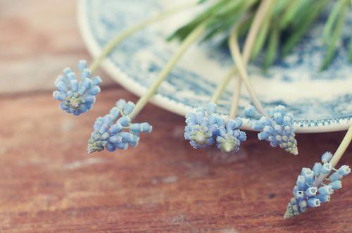 世界如沙，心若不动，风又奈何；情若不伤，岁月无恙