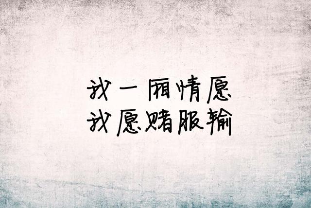 我一厢情愿，我愿赌服输