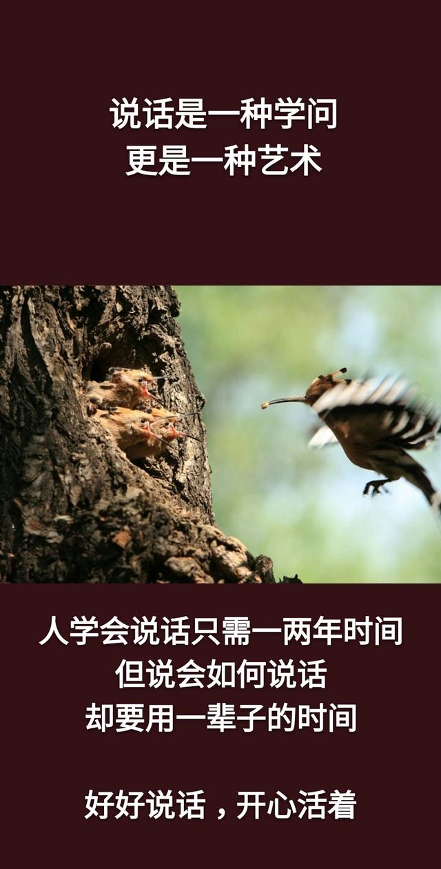 真话不全说，假话全不说