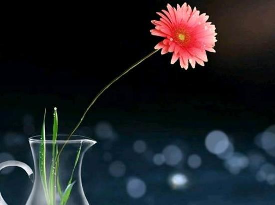 qq空间感悟人生的图片说说短语 qq空间感悟人生的图片说说短语