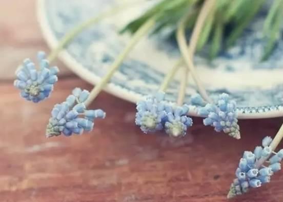 别惯坏了，不知领情的人