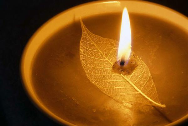 在岁月中修炼自己