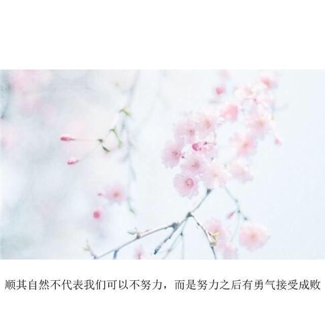 这组微信朋友圈经典语录要火了