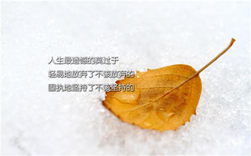 自己的选择，跪着也要走完