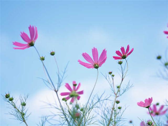 没钱看人心,有钱看人性 没钱看人心,有钱看人性