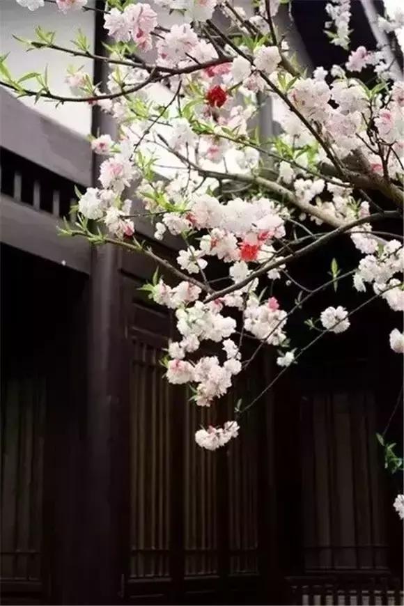 优等的心，自带光源更美丽