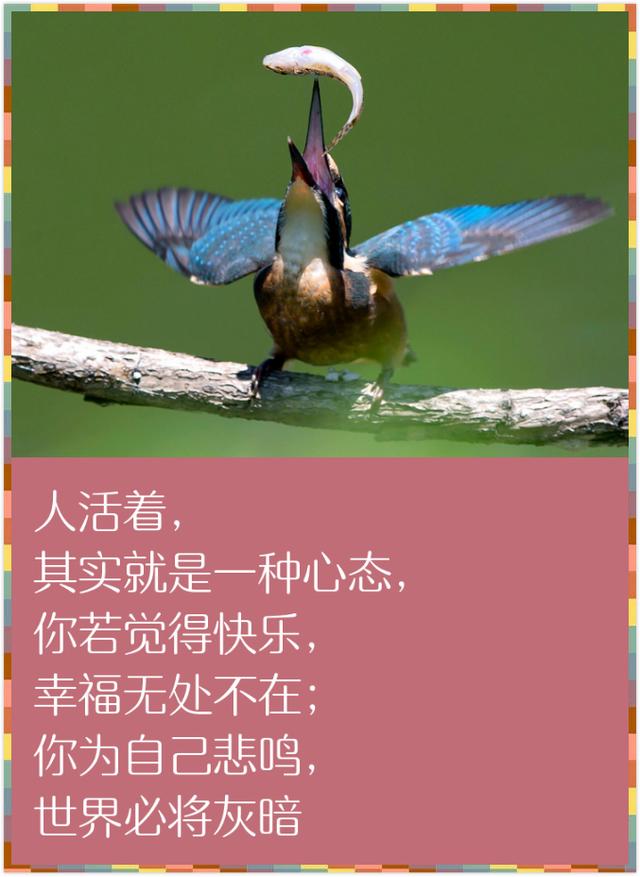 人生在世，除了生死，都是小事（精辟到骨子里）