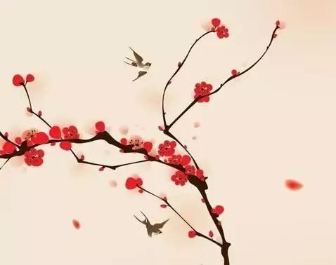 人生，只有走出来的美丽