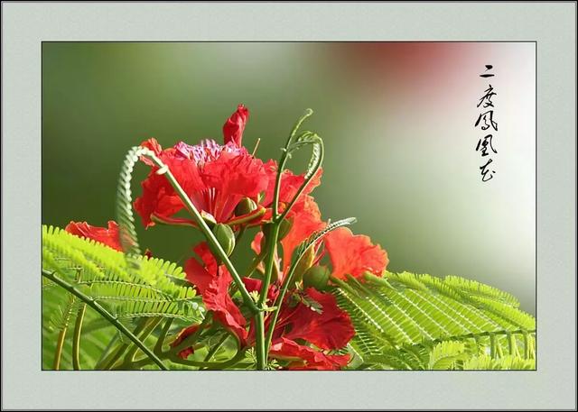 九月：但愿人长久