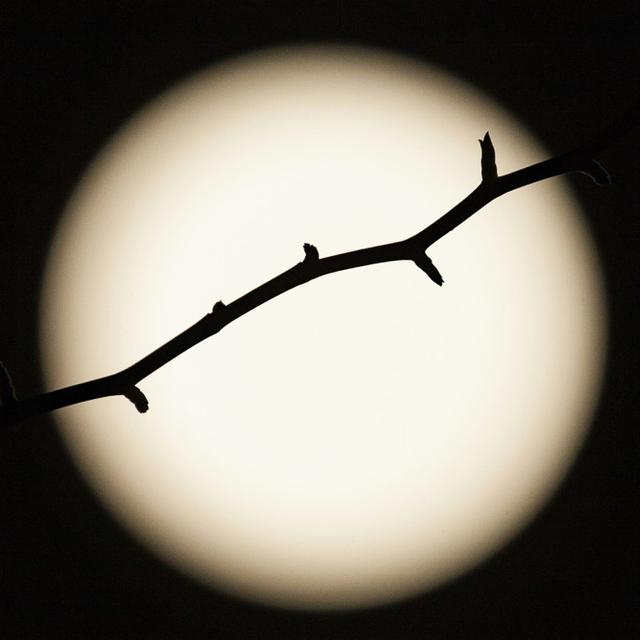 关于脾气脾气这东西