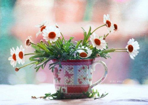 活在当下，且行且珍惜，美好的，留在心底；遗憾的，随风散去