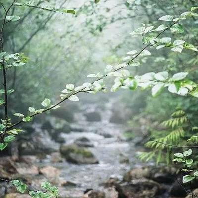 友谊（美文）