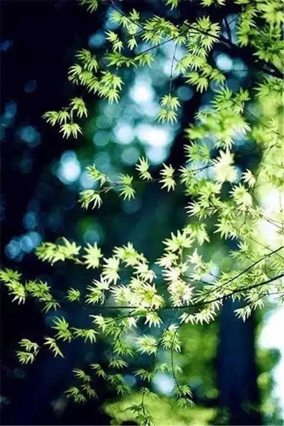 一生当中应该坚持的四件事 一生当中应该坚持的四件事