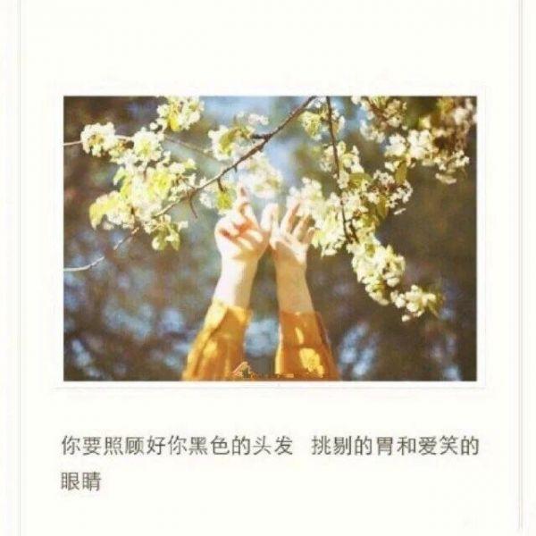 心情语录：情到深处疯狂，恨到深处致亡