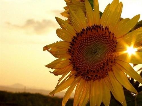 生命的路上，耐心使你获得力量