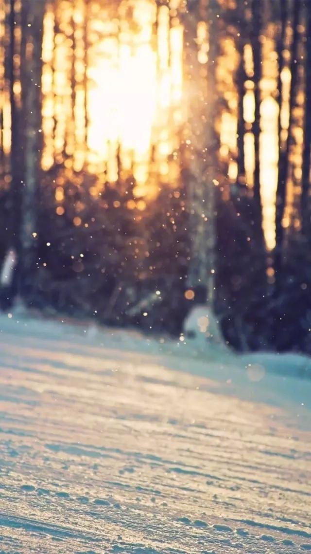 气质优雅的非主流经典语录