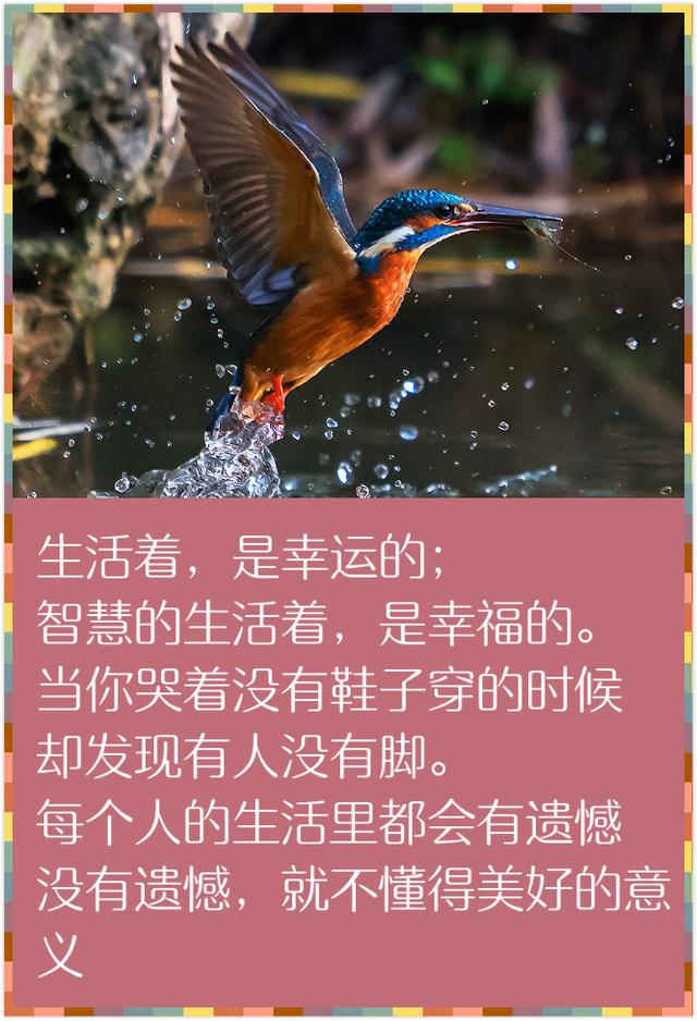 人生在世，除了生死，都是小事（精辟到骨子里）