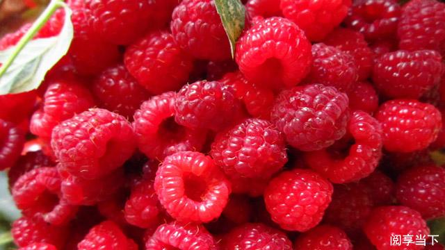 幽默哲理句子，比起那些大道理，更能引起共鸣