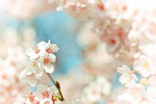 朋友圈里最火的人生感悟语录