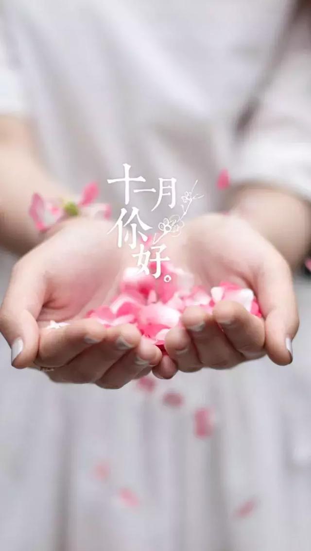 你好，十一月