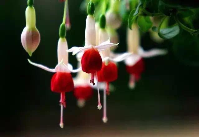 说好天长地久，不过是曾经拥有；坚信一生相守，却只是短暂邂逅