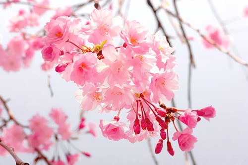 微信朋友圈女生伤感图片说说语录